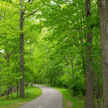 Explore plant communities