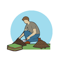 How to Plant a Tree - Step 2