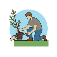 How to Plant a Tree - Step 4
