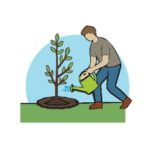 How to Plant a Tree - Step 7