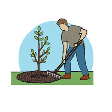 How to Plant a Tree - Step 8